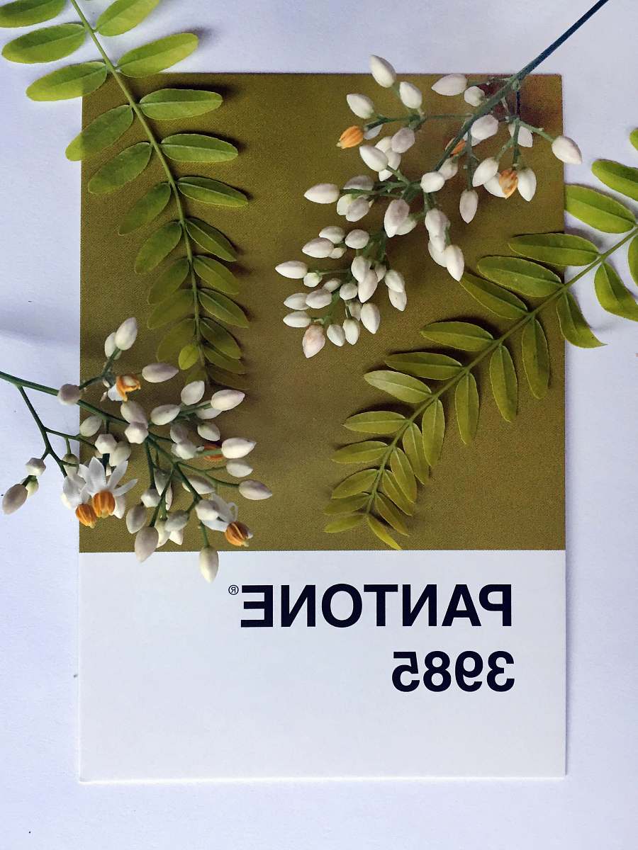 flower green and white plants on Pantone 3985 poster plant
