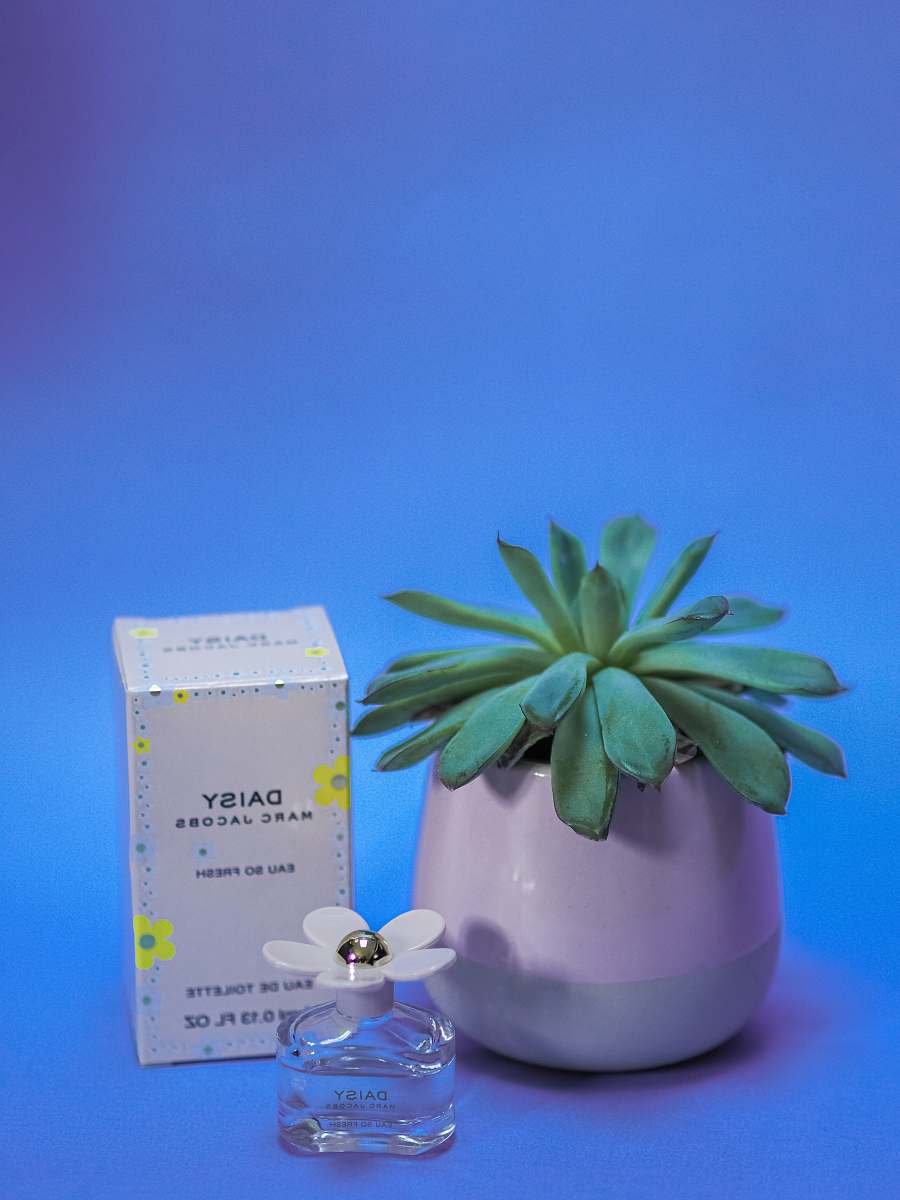 flower white and green floral box new york