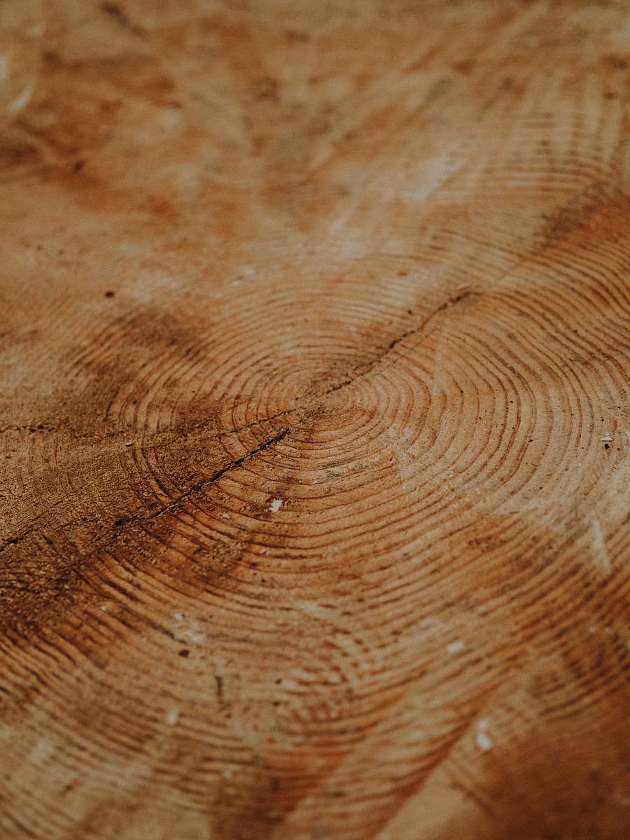 lumber  plywood
