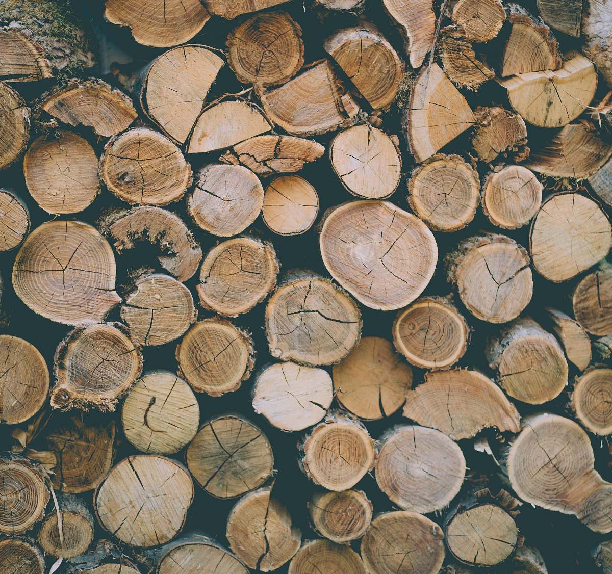 lumber pile of brown firewoods rug