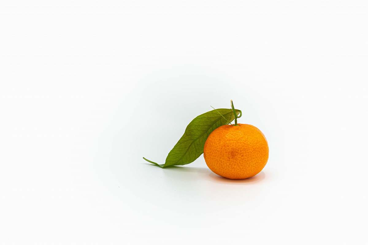plant orange tangerine fruit citrus fruit