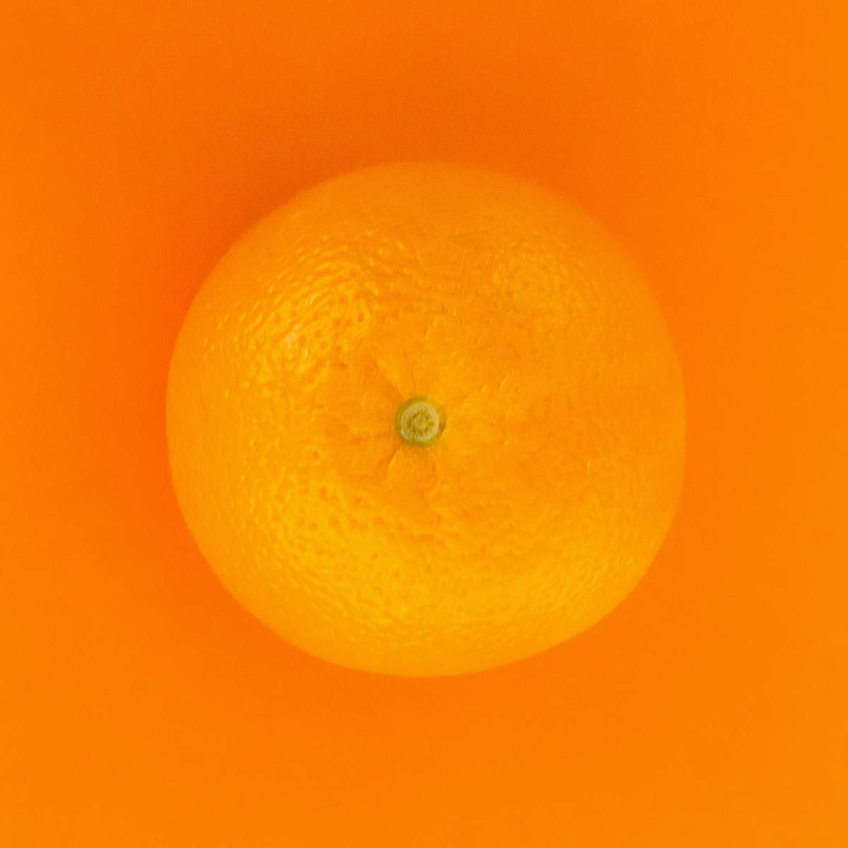 fruit orange fruit with orange background citrus fruit