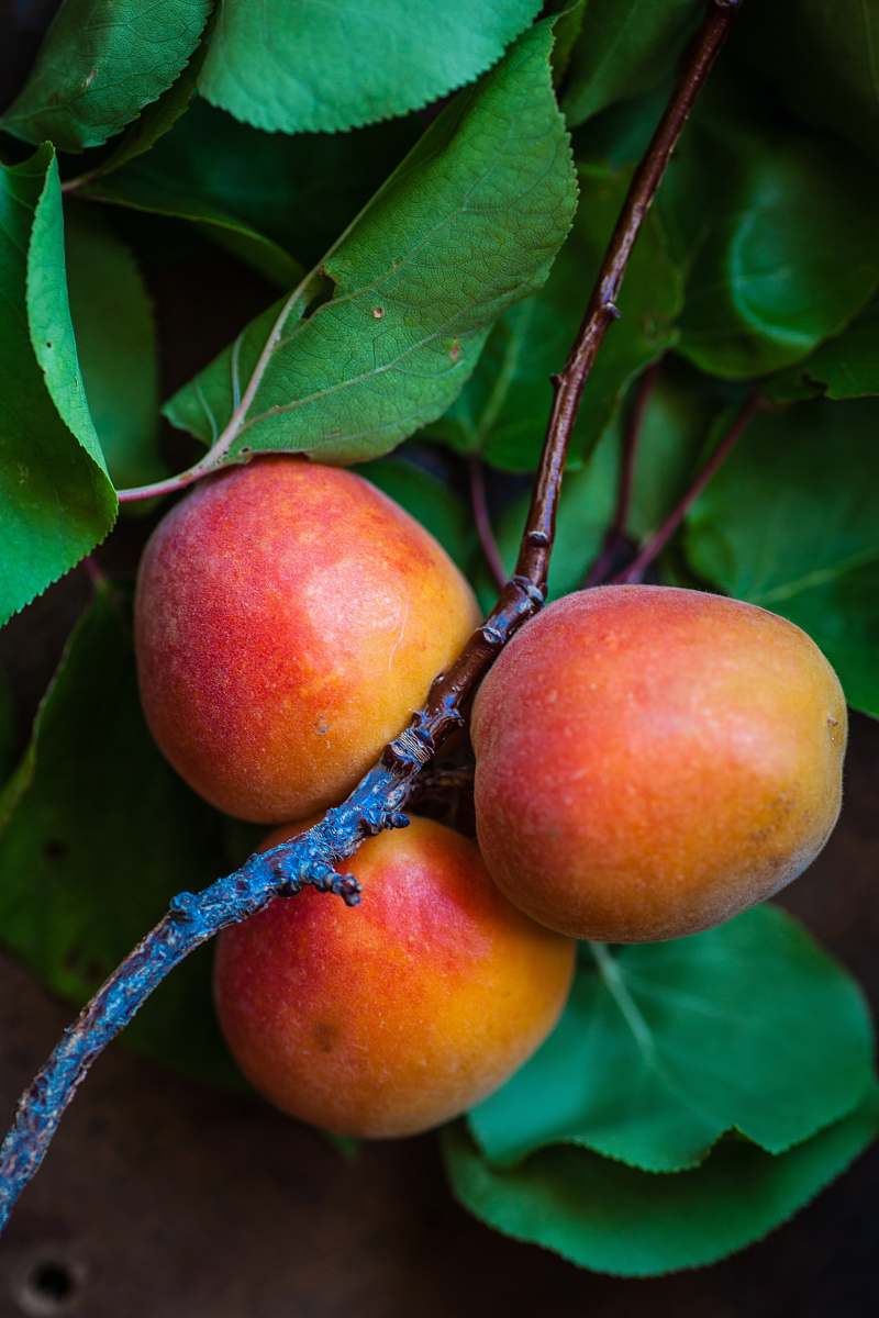 food three peach fruits fruit