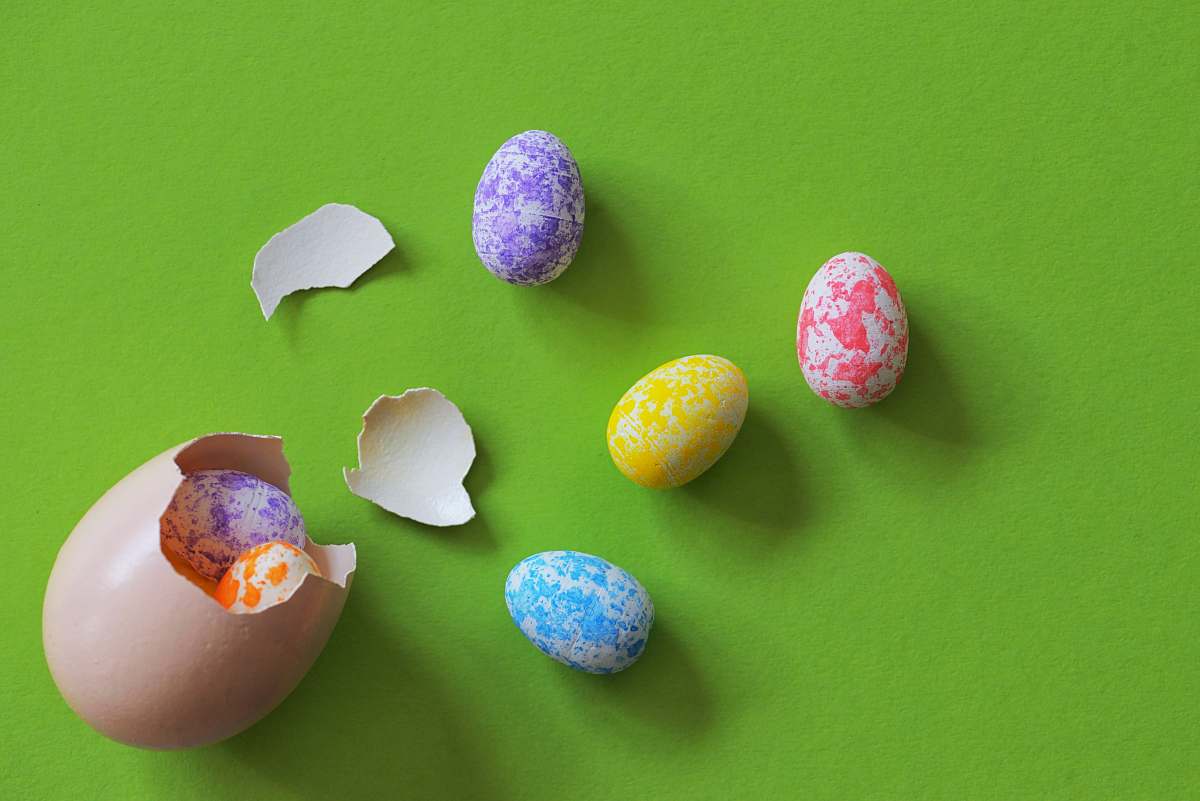 egg cracked egg with small eggs break