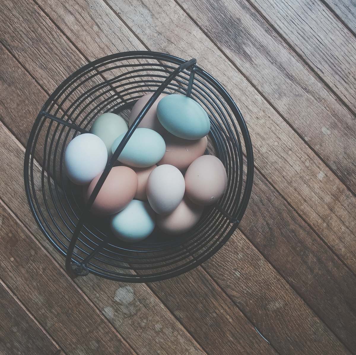 food eggs in black steel rack easter