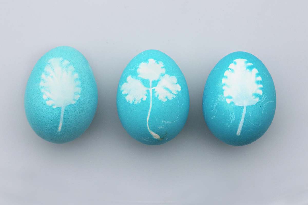 food three teal-and-white painted eggs easter egg