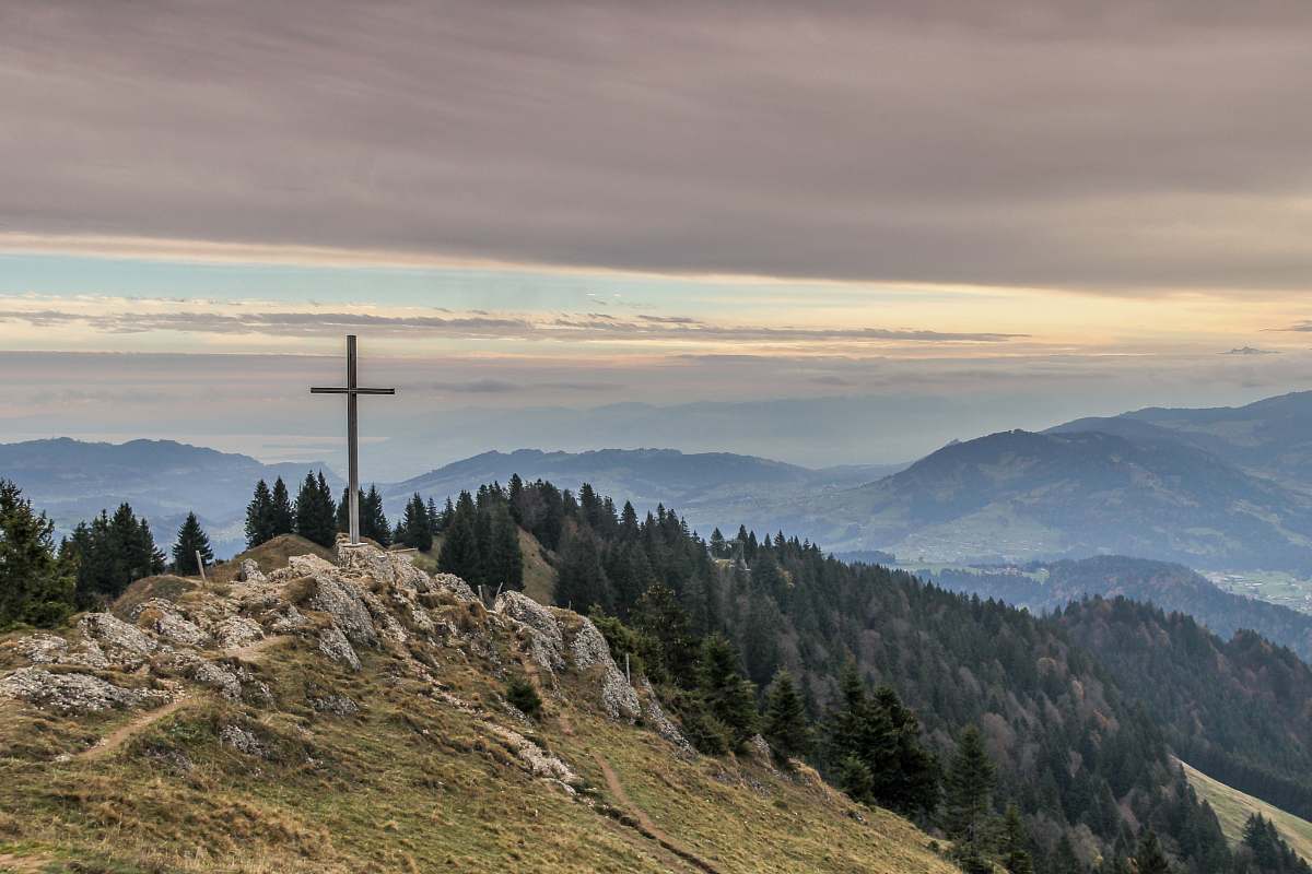 tree gray cross near tall green trees cross