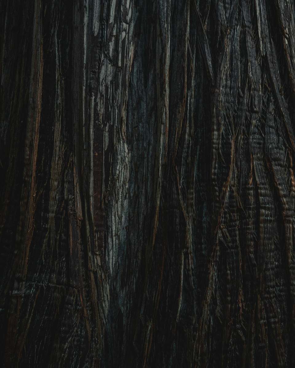 hardwood black and gray textile black-and-white