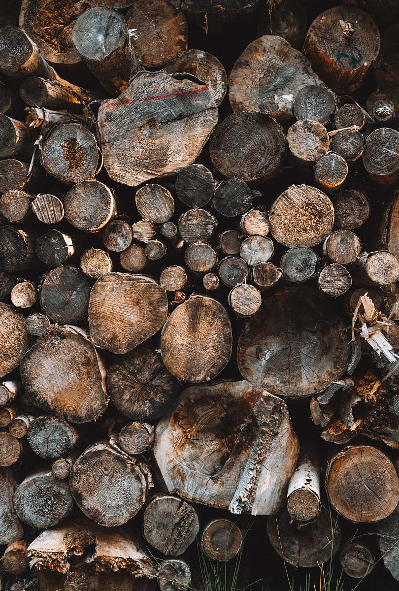 lumber pile of logs log
