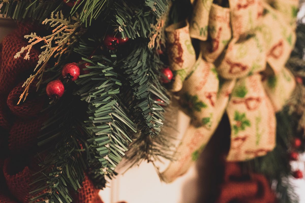 closeup photography of mistletoe