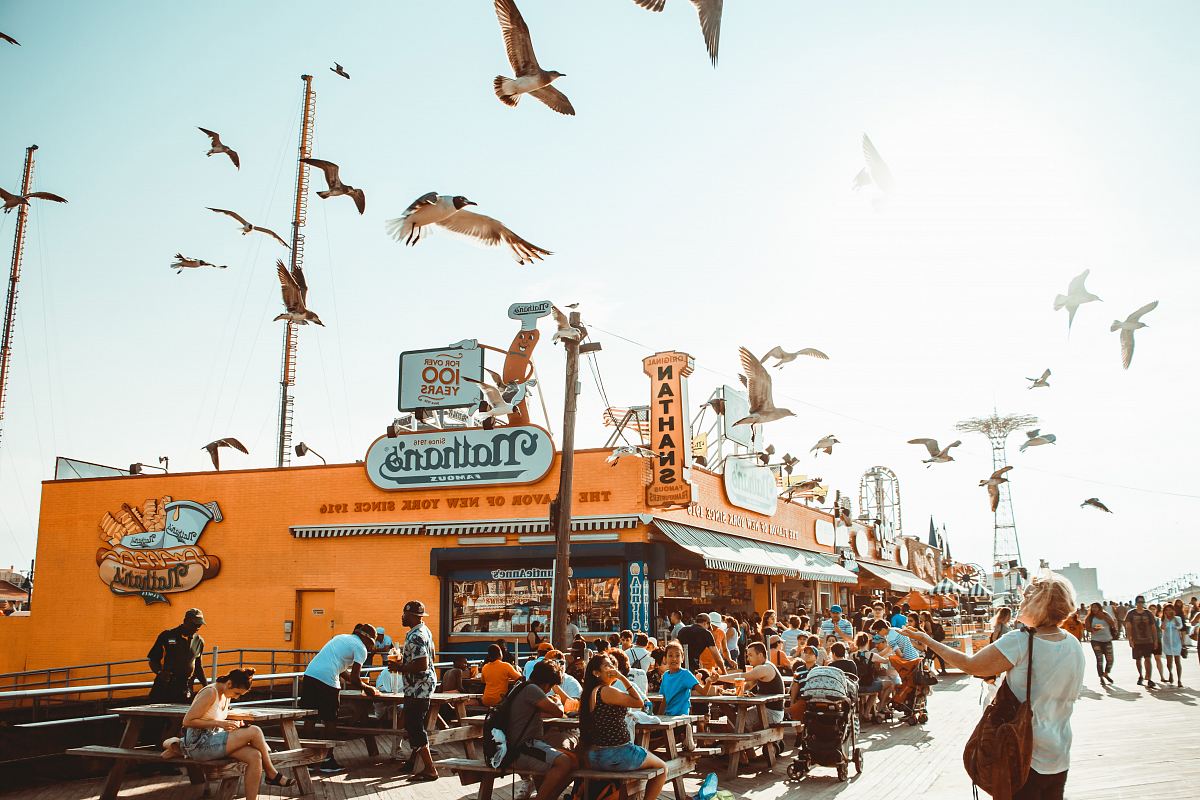 group of people watching flying birds outdoors