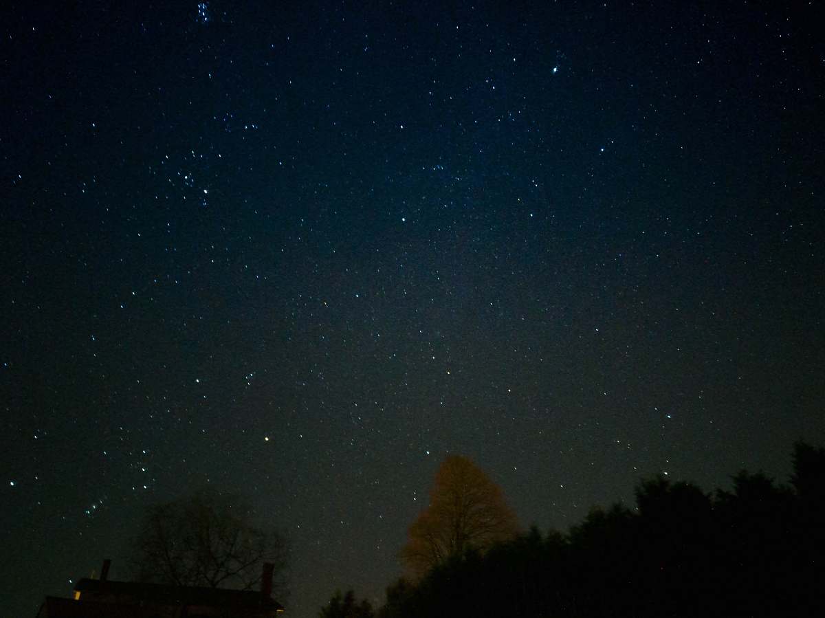 outdoors stars and forest astronomy