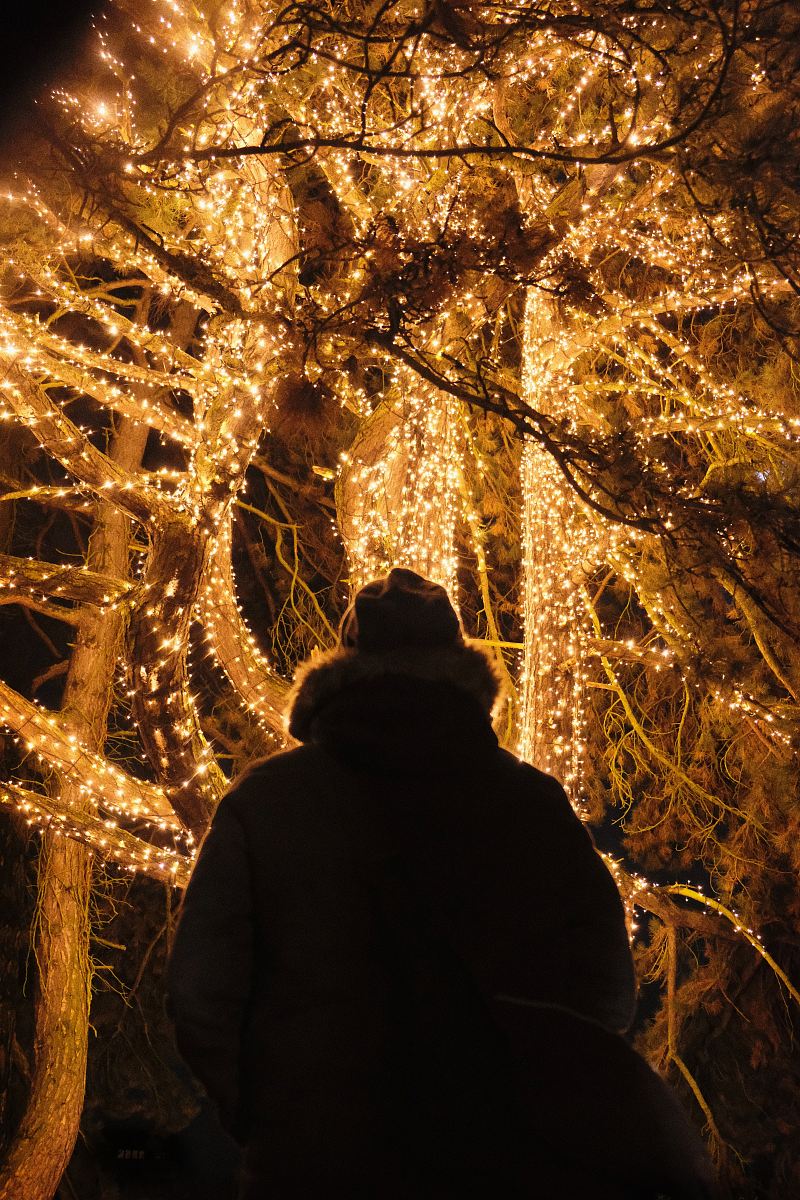 person looking at yellow string light