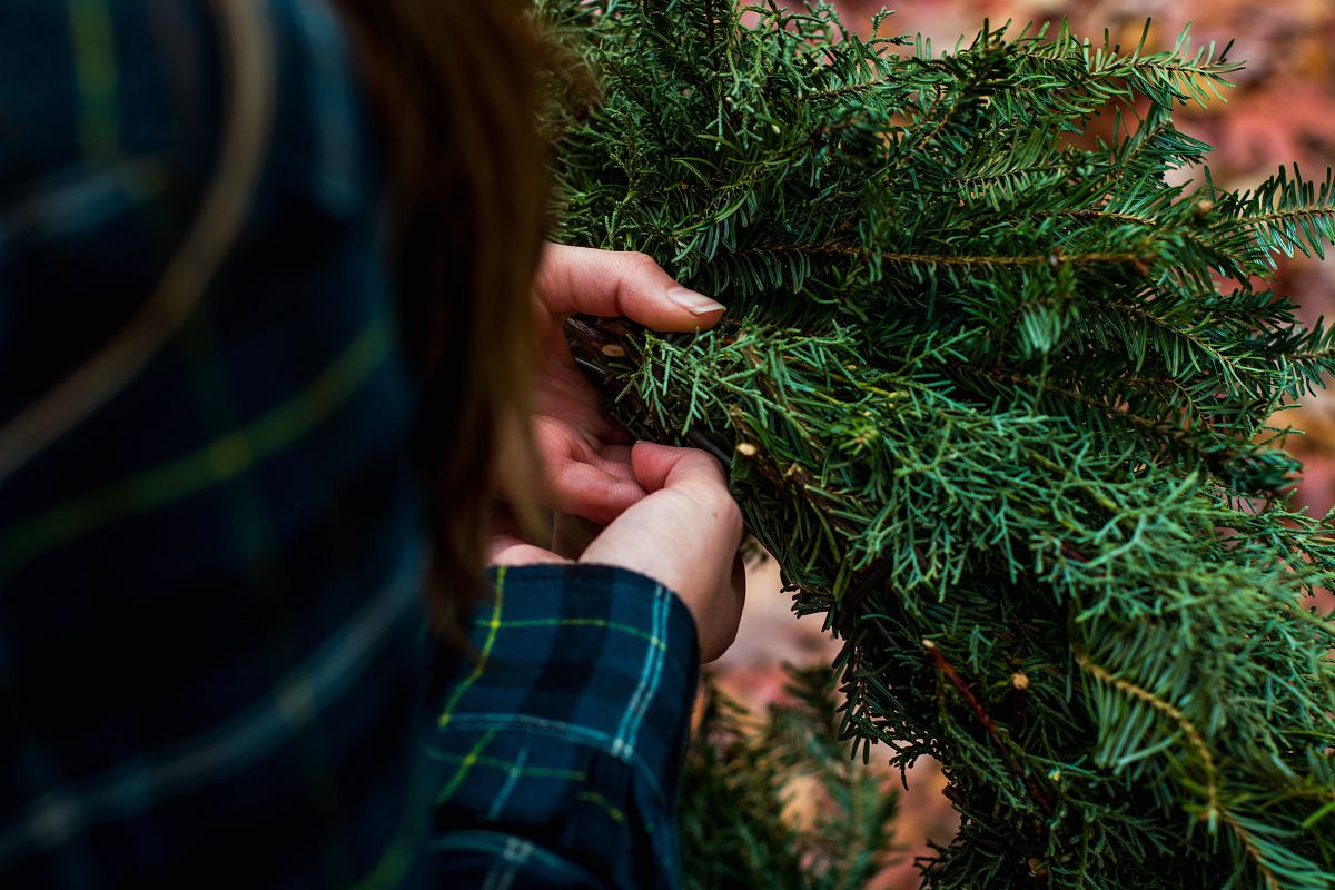 woman holding green pine bough selective focus photo