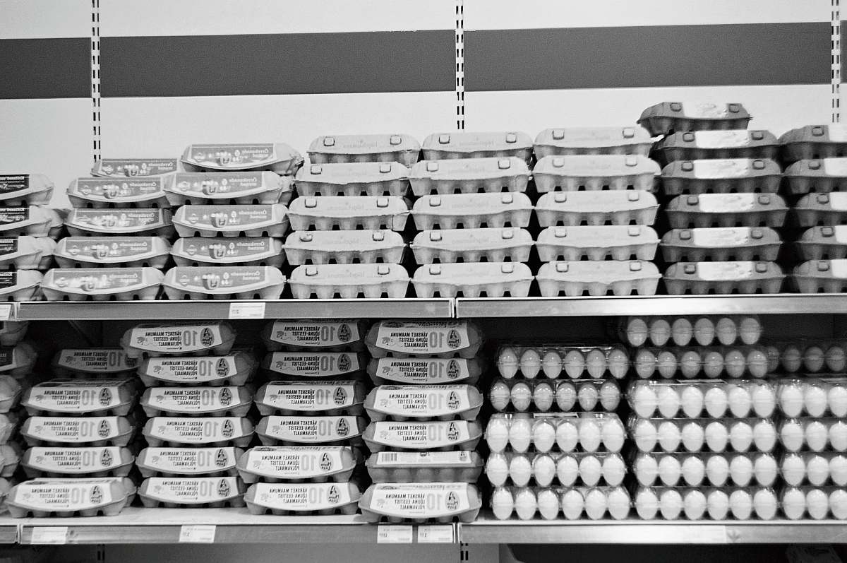 black-and-white eggs on trays shelf