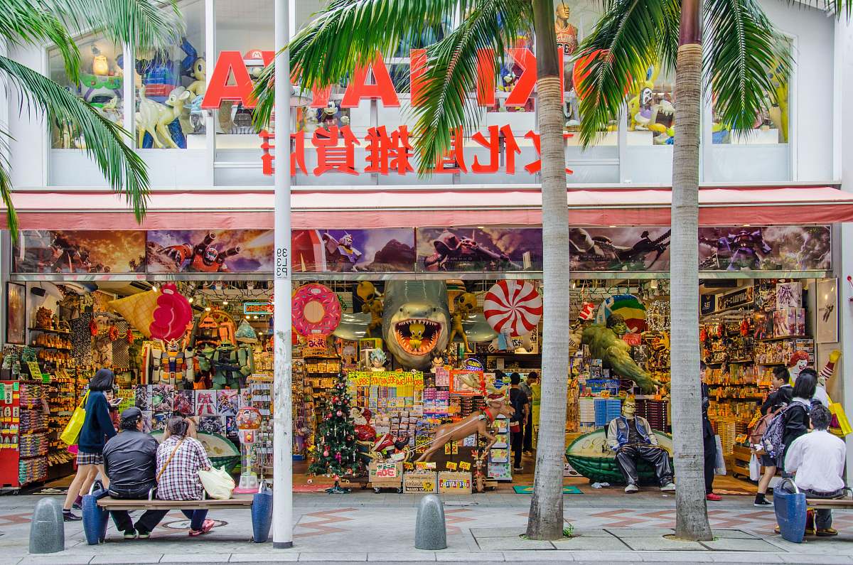 human crow beside coconut trees and concrete building at daytime person