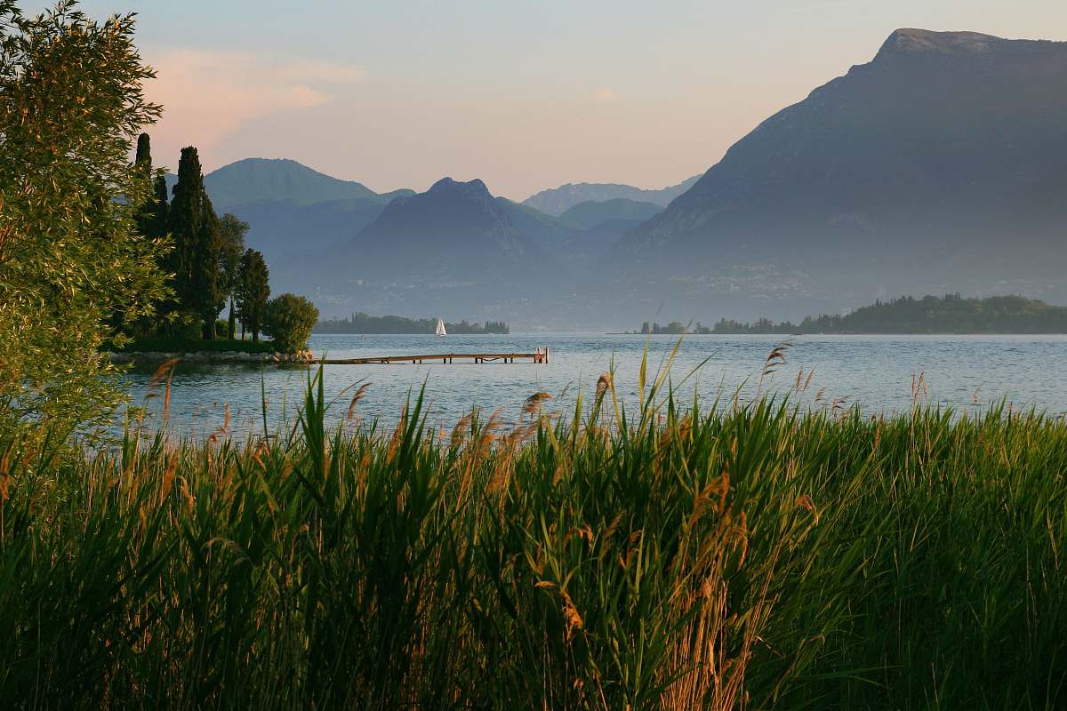 mountains green grass near body of water lake