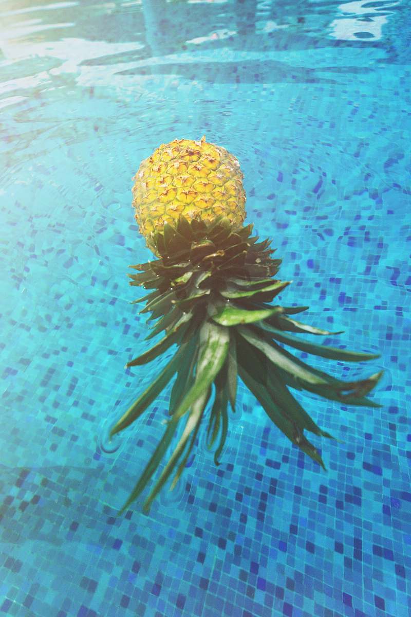 ocean pineapple on pool nature