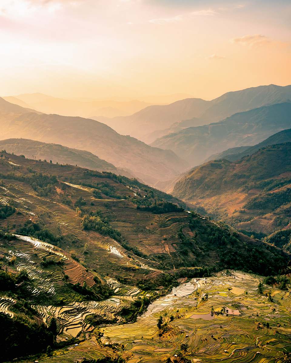 fern landscape photography of mountains flora