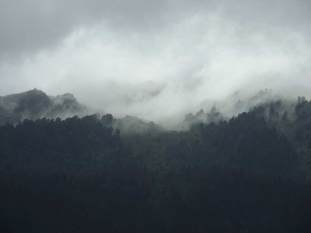 nature silhouette of mountain covered by fogs grey