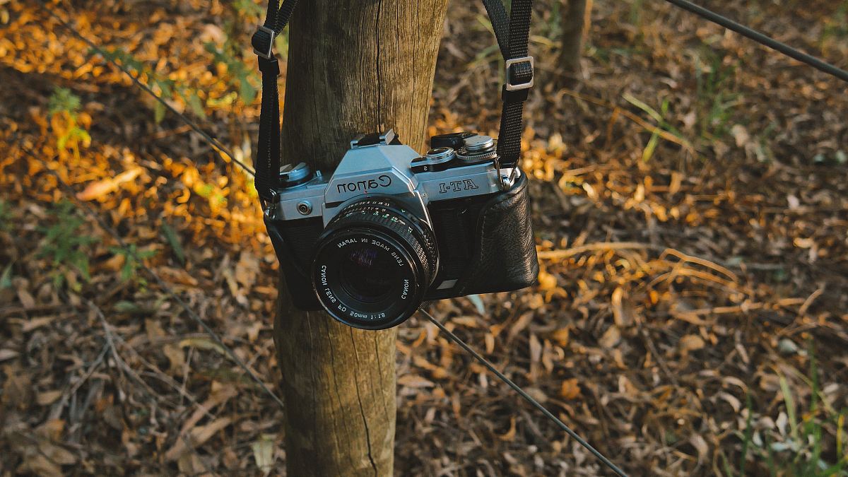 black and gray Canon SLR camera hanged on wooden trunk