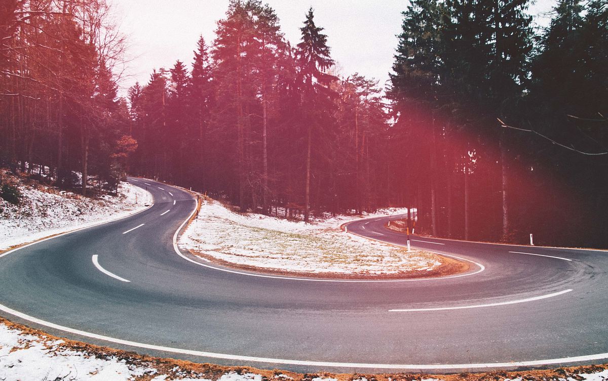curved concrete road with trees on the side