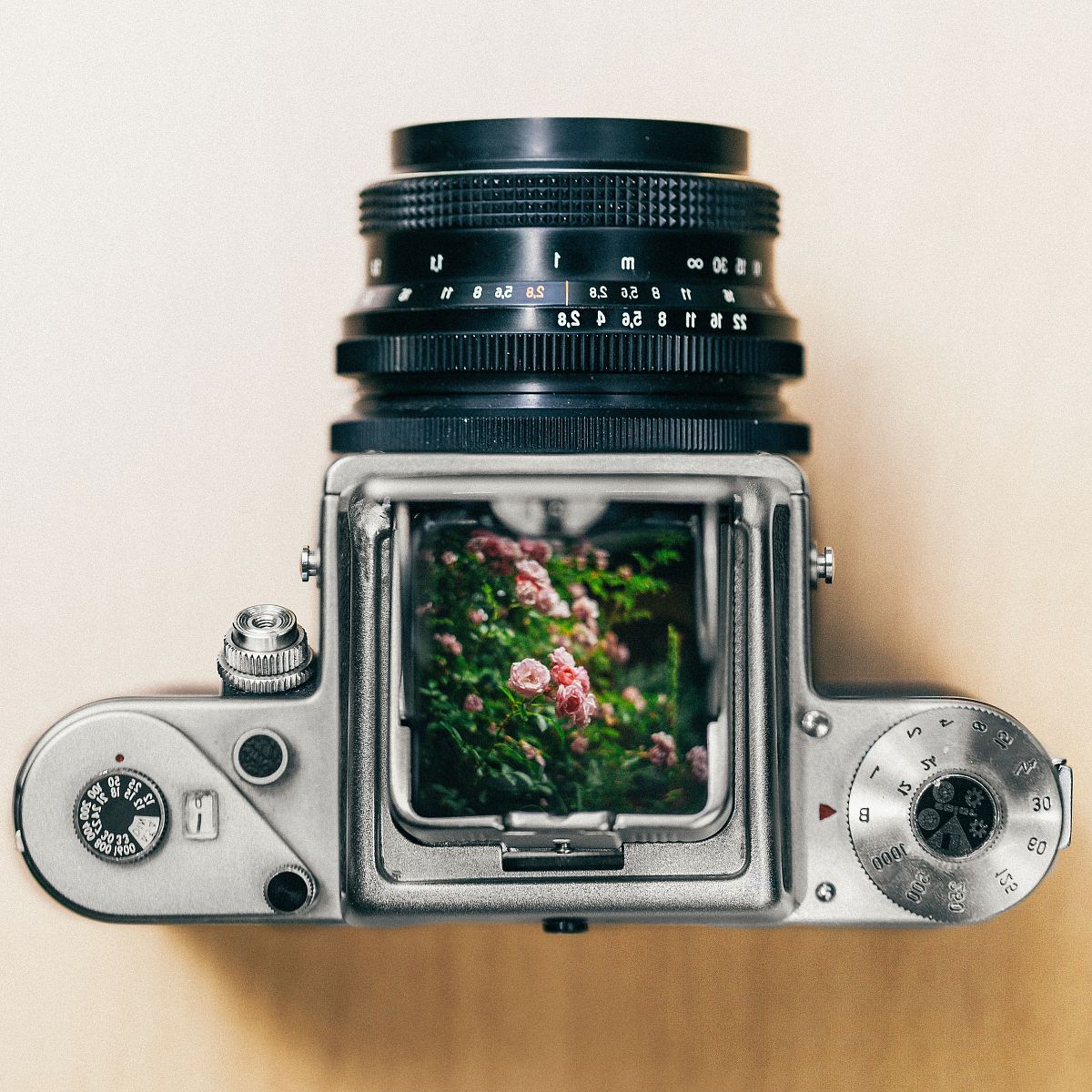 gray and black DSLR camera showing pink petaled flowers