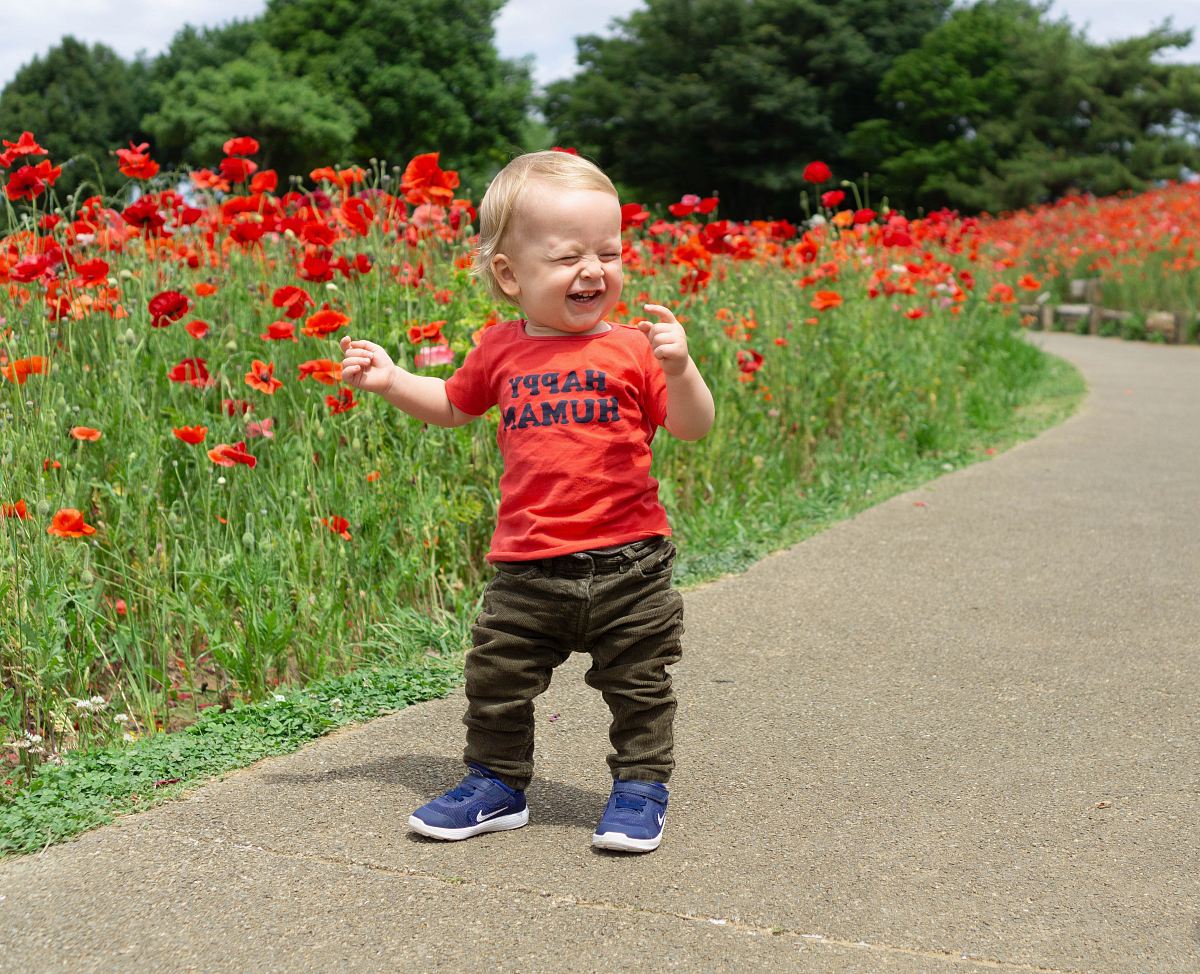 toddler laughing while standing near red petaled flowers