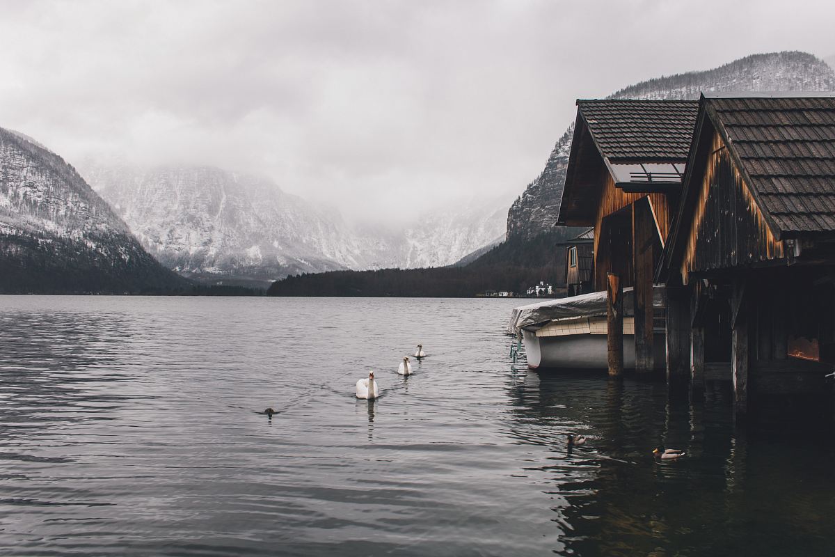 white pontoon boat on body of water at daytime