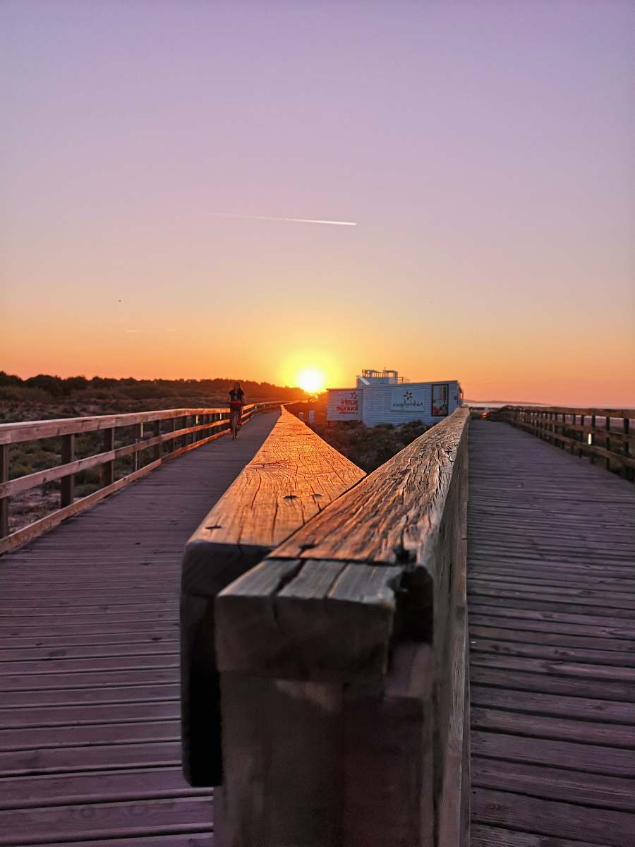 bridge brown wooden pathway during sunrise boardwalk