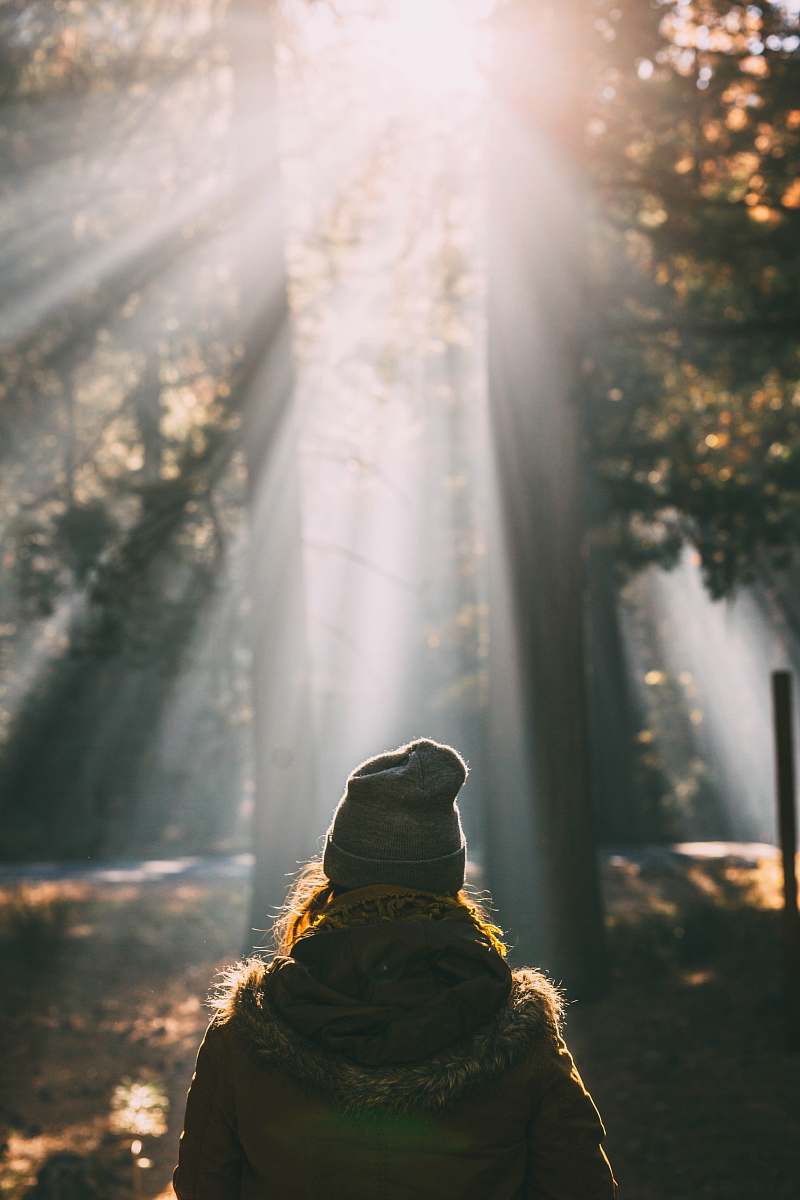 light person looking at trees person