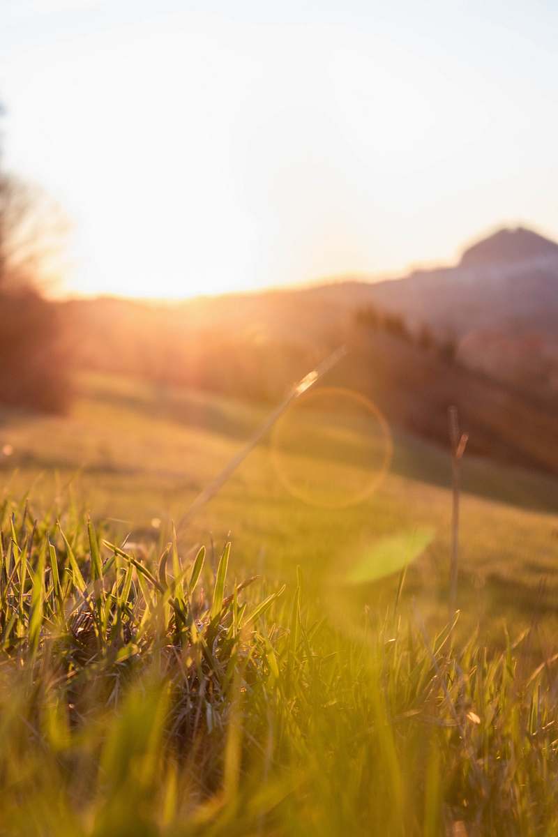 sunlight sun rays on green grass field light