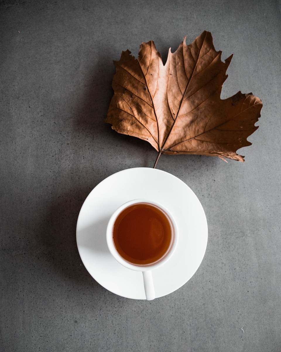 plant brown dried maple leaf beside cup of tea leaf