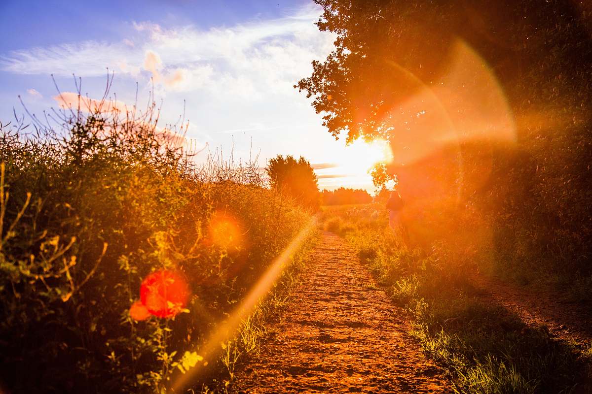 path  trail