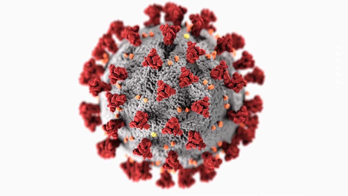 virus red and white flower petals sars-cov-2
