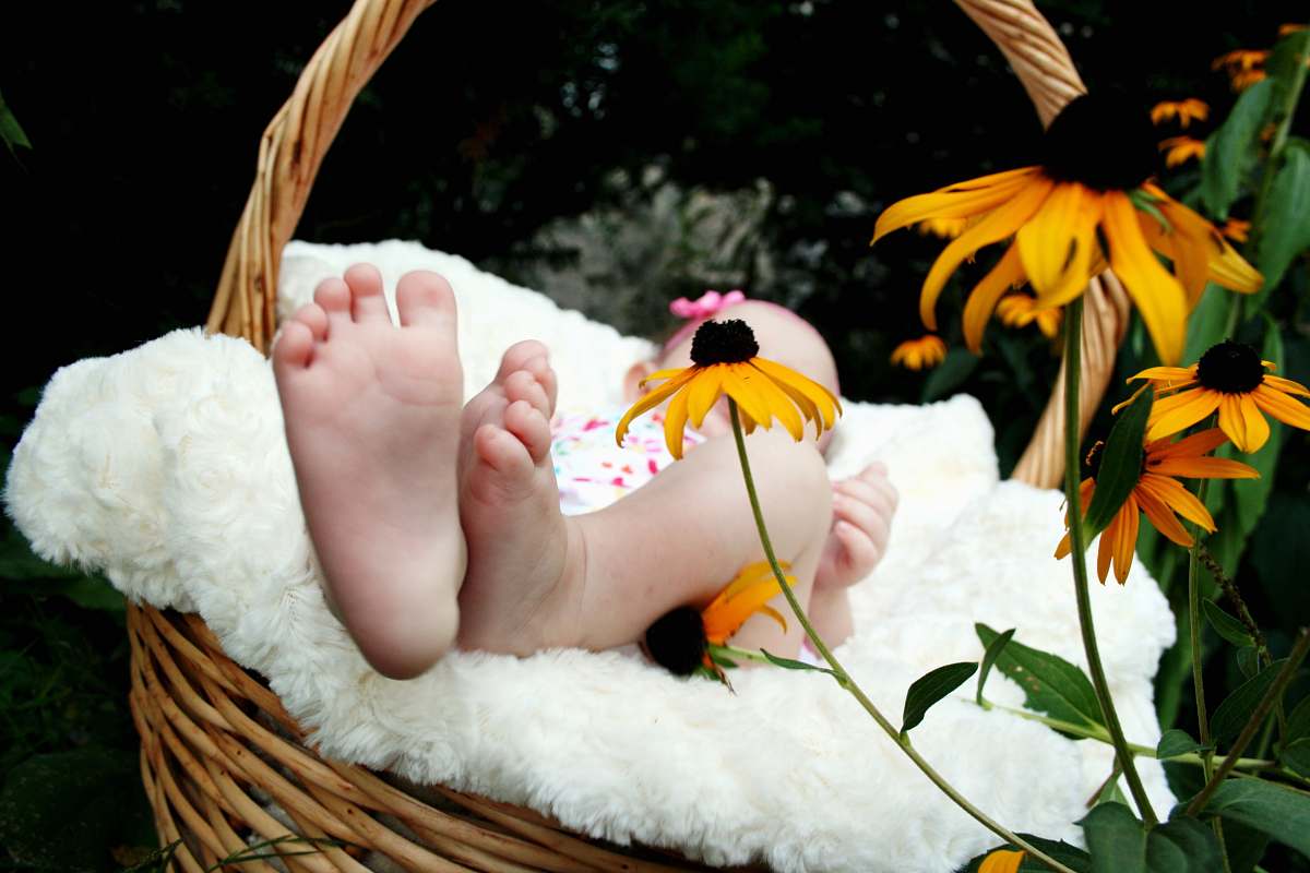 flower baby laying on brown wicker basket flora