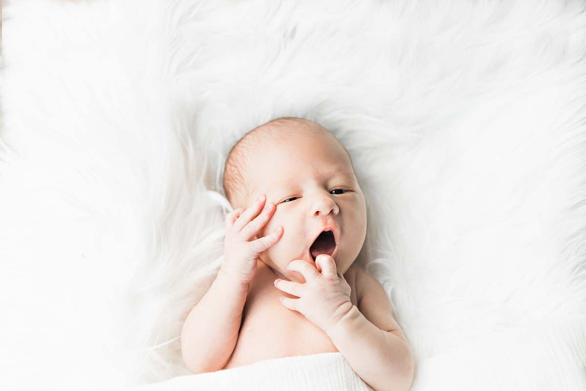 human baby's fac newborn