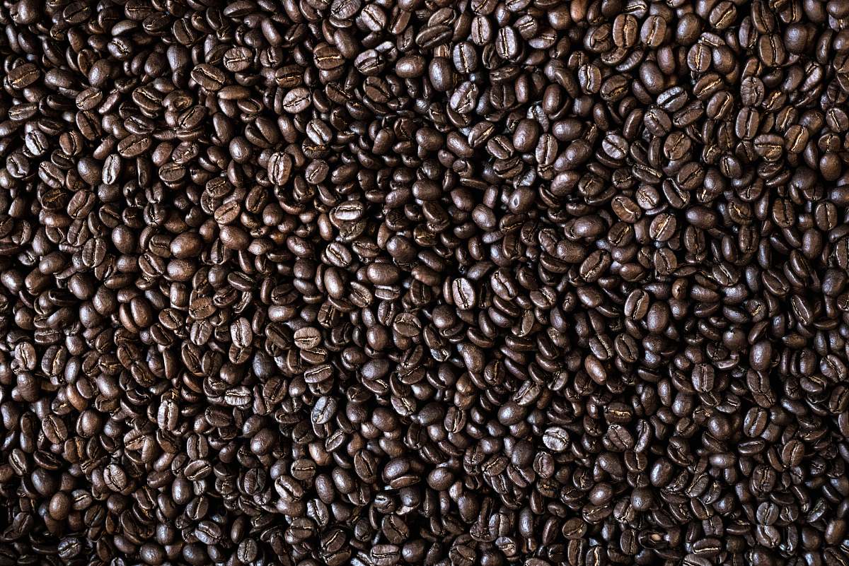 food coffee bean lot flora