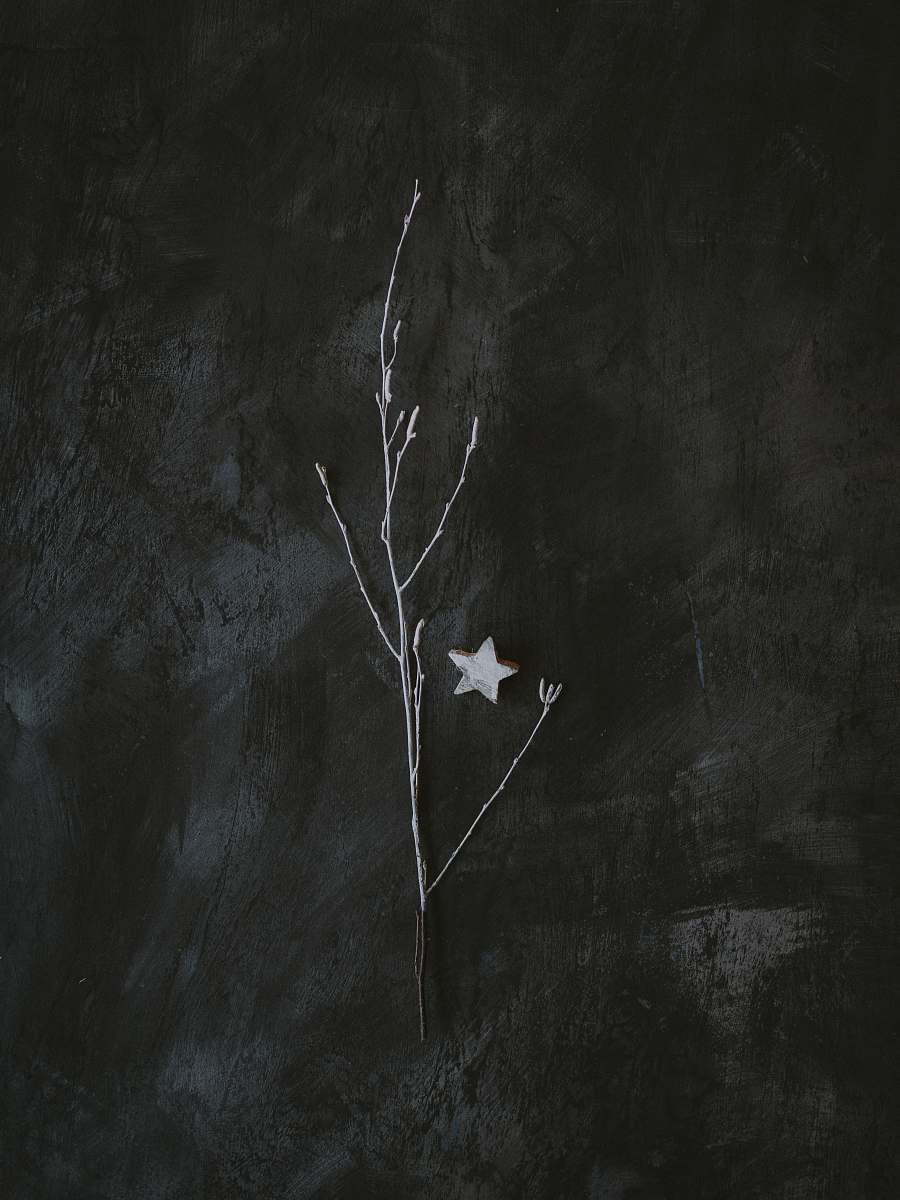 art gray tree brunch on gray surface painting