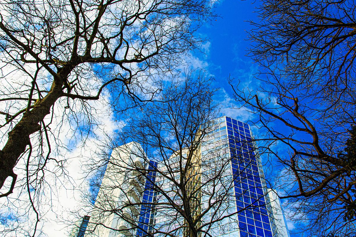 Experience the harmonious blend of contemporary architecture and nature in this stunning image of a tall building surrounded by vibrant trees under a clear blue sky. Perfect for showcasing the balance between urban living and natural beauty, this photograph is ideal for use in real estate marketing, environmental discussions, or city planning presentations. Capture the essence of a thriving metropolis intertwined with the serenity of nature.