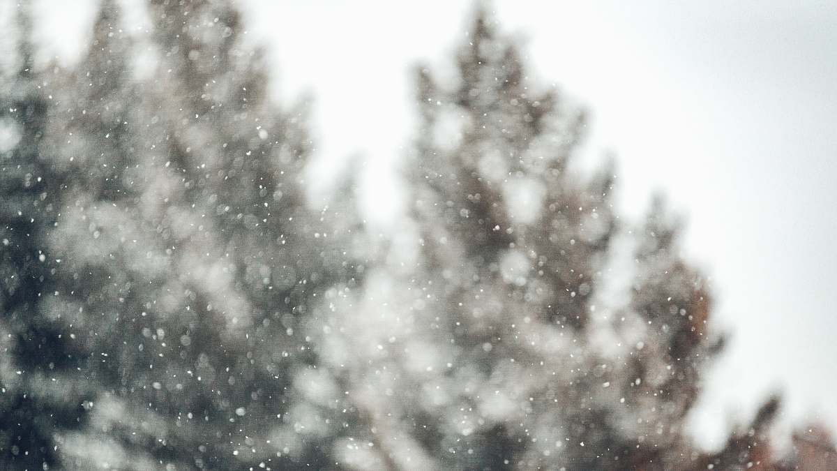 winter  snow