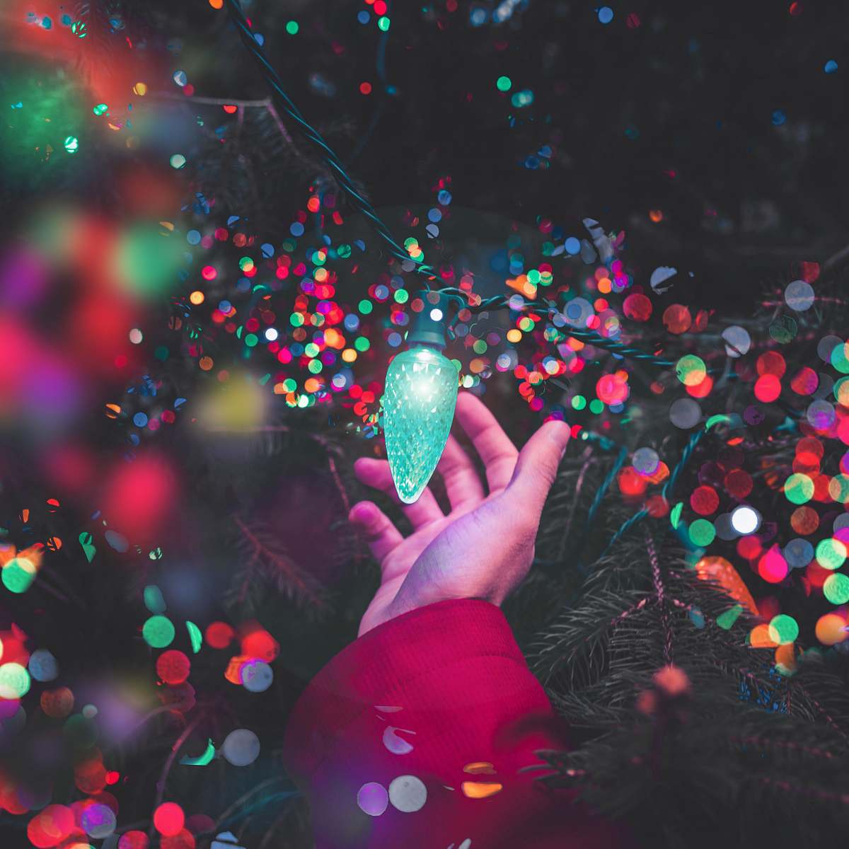 confetti bokeh photography of person holding green string light paper