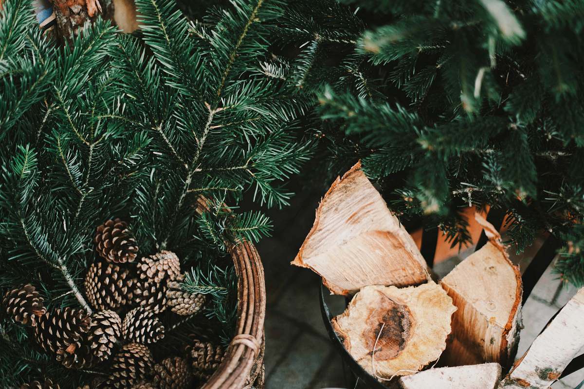 flora brown acorns jar
