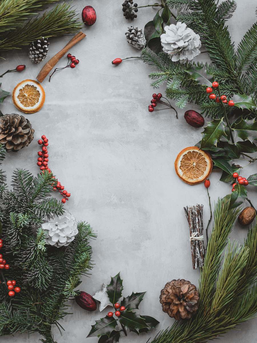plant green palm leaf festive