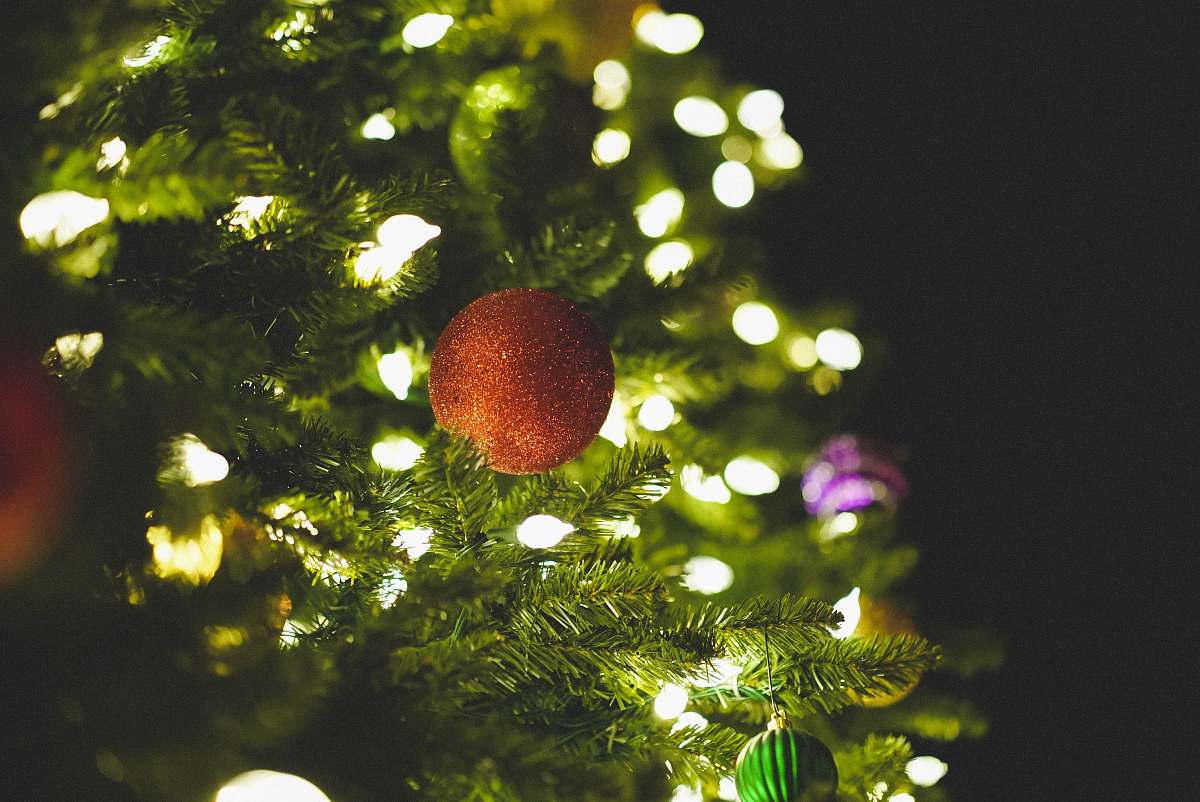 tree orange ball decor on green christmas tree horizon christian fellowship