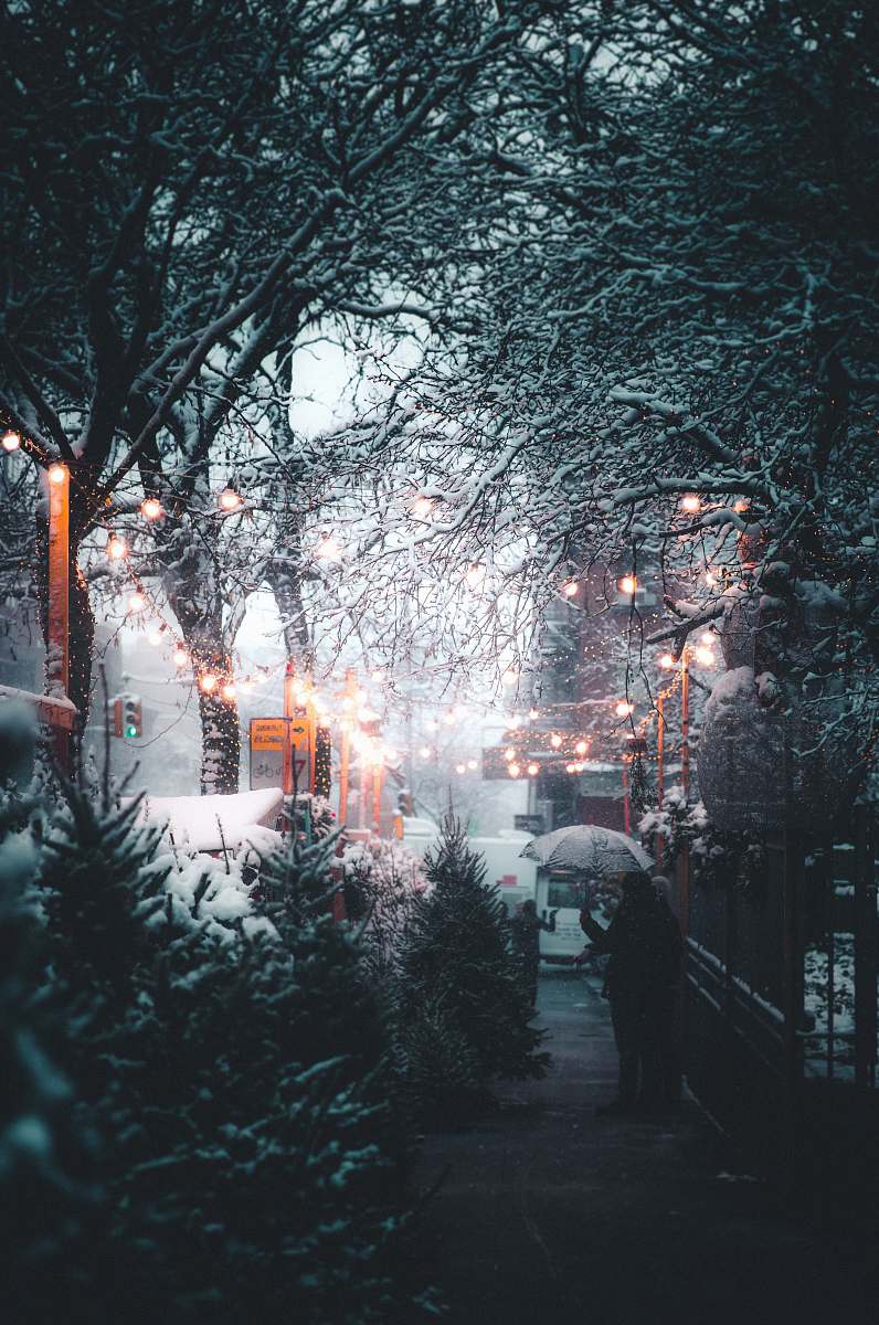 winter person holding umbrella near streetlight and trees at daytime snow
