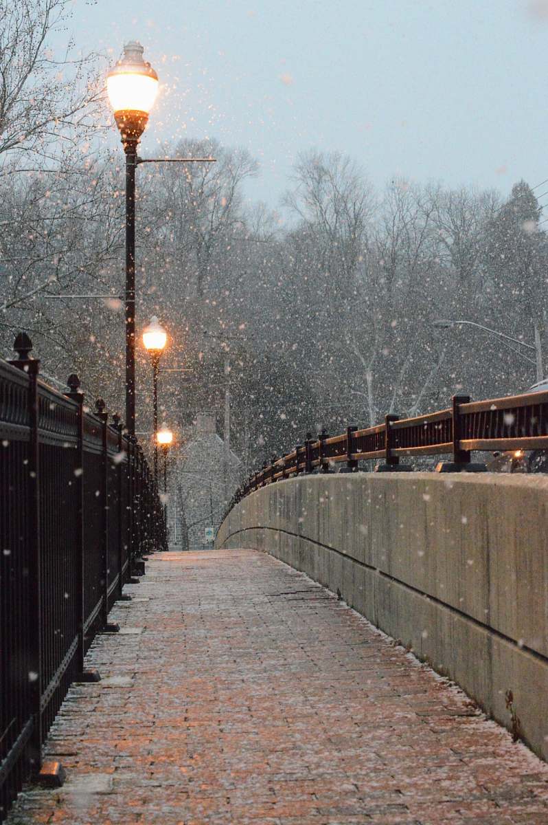 This captivating winter photograph captures the magical ambiance of street lights casting a warm glow near a snow-covered railing. A train moves gracefully along a snowy path, evoking a sense of nostalgia and adventure. Perfect for showcasing the beauty of winter landscapes, this image can be utilized in travel blogs, seasonal marketing campaigns, or cozy winter-themed projects.