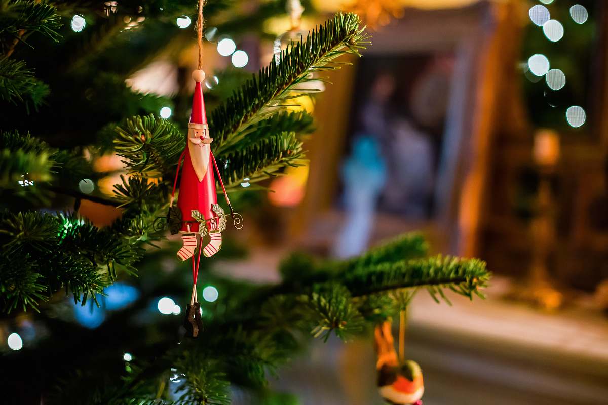 tree red Santa Claus bauble plant