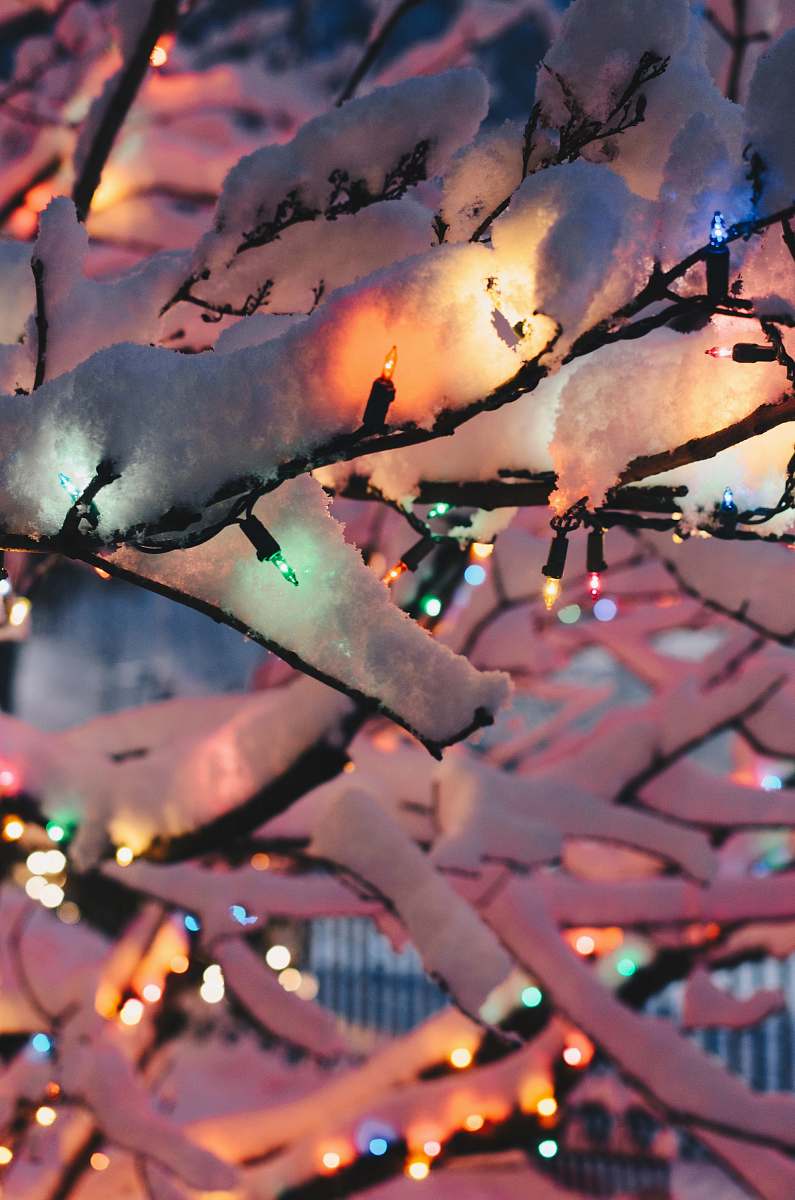 holiday red string lights lights