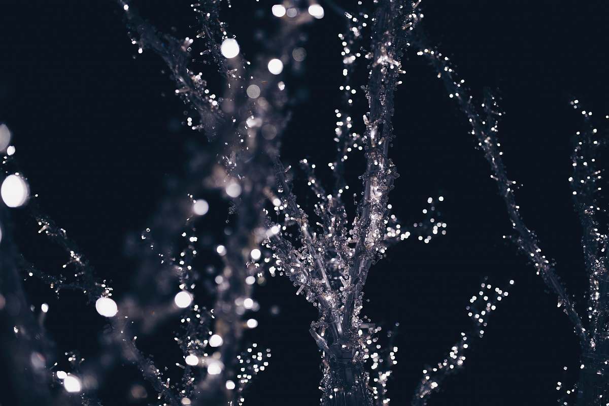 water string lights on tree during night time fountain